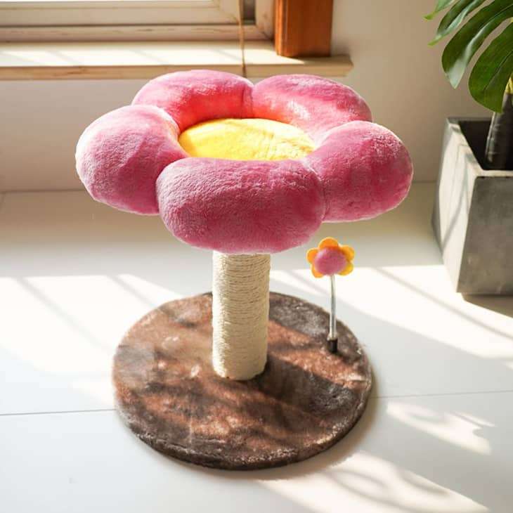 Twitter Is Loving This Super Cute Flower-Shaped Cat Tree