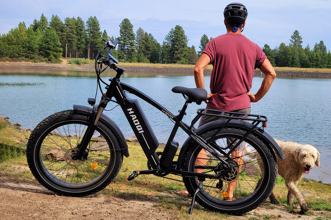 The Best Selling Fat Tire Electric Bikes